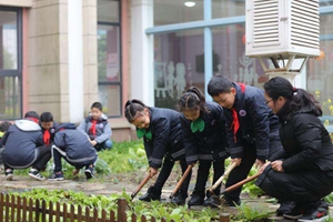 青岛：劳动教育将纳入中小学生综合素质评价体系