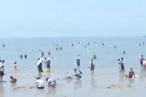 三伏天提前到来 市民游客海边扎堆洗海澡