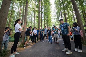 【我爱这片蓝色的国土】蓝海林海花海 探秘北纬36度上的最美黄金海岸