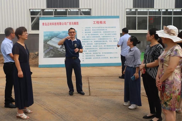 上马街道组织人大代表开展“勇立新高地，聚力中心区”主题实践活动暨重点项目观摩会