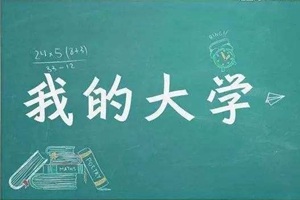 《00后高考志愿兴趣报告》出炉！冷门专业要逆袭？