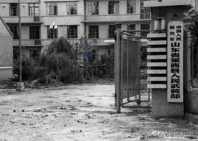 1985年九号台风，建国后青岛遭受最严重的台风暴雨袭击