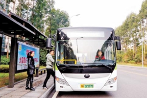合并或迁移 319路602路等多条公交线路站台调整
