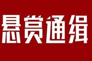 公开悬赏100万！公安缉捕50名重大逃犯！有青岛的