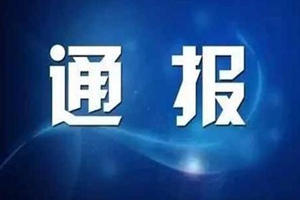 涉嫌诈骗，拐卖儿童！邵长亮，王建芳！被批捕！