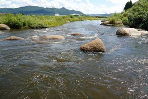 河水水质控制不力 平度、莱西、胶州各赔300多万