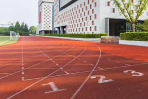 重磅！教育项目群名单来袭 新布局改变红岛定位！