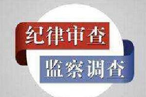 青岛市生态环境综合行政执法支队支队长沙爱平涉嫌严重违纪违法接受纪律审查和监察调查