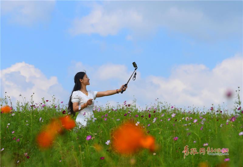 这个假期，和我一起去胶州小镇彩色花田走走吧…