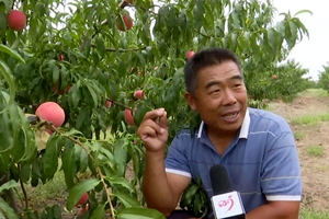 打好“生态牌”，鼓起村民钱袋子！