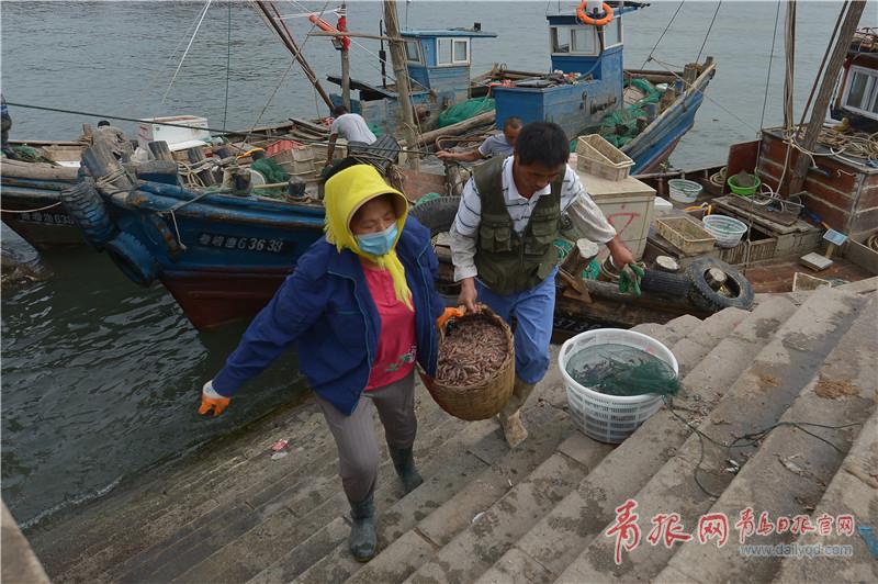 跟着小编一起逛逛沙子口吧 梭子蟹、鱼类热销