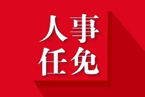 青岛、泰安、聊城、滨州市政府人事任免通知