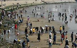 日接待游客人数超百万 青岛各景区“人山人海”