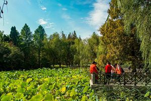 秋日中山公园一湖碧水 树木草地正在变换颜色