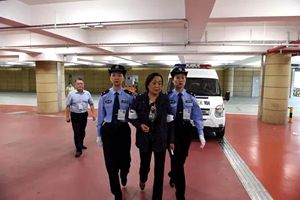 落马厅官涉案6亿多 妻子潜逃9个月被追捕归案