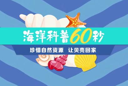 海洋科普60秒！2019让贝壳回家知识竞赛视频题库上线啦