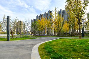 美！李沧区新建7处口袋公园 看看哪个在你家楼下