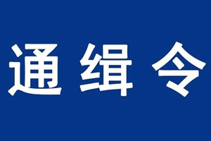 A级通缉令！见到这10人报警！