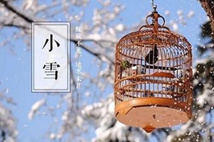 冷空气刚走 小雪来了！岛城雪中美景提前看