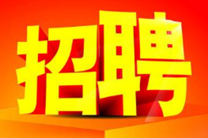 转需！青岛这些学校、国企单位招聘 速报名