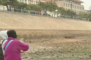 青岛开启降温模式  全市平均降10℃-12℃