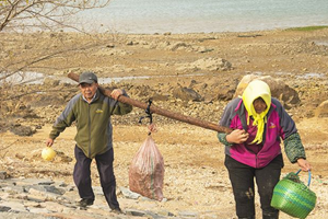 海上落大潮！市民唐岛湾赶海忙