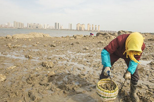 海上落大潮！市民唐岛湾赶海忙