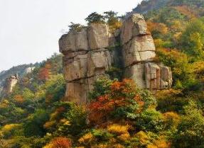周知！崂山景区部分道路封闭 请合理安排出行