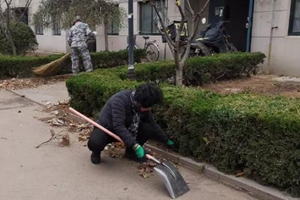 城阳街道西旺疃社区开展环境卫生品质提升，洁净家园卫生整治活动