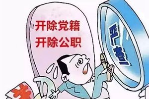 原青岛市环境监察支队支队长沙爱平严重违纪违法被“双开”