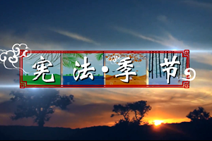 宪法季节，阳光普照！