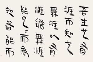 和风清穆——刘绍刚书法篆刻展盛装启幕