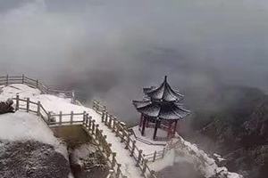 寒潮蓝色预警！2020年青岛的初雪下在了这里！