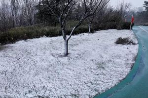 刷屏了！青岛老城区雪景惊艳上线！不输故宫！