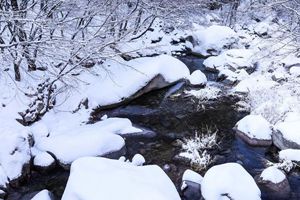 当赏雪成为冬日生活的不可或缺 到北九水去吧