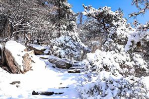 当赏雪成为冬日生活的不可或缺 到北九水去吧