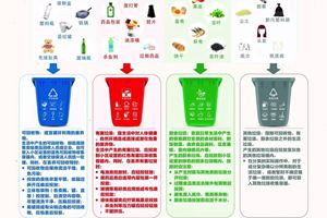 官方解答：厨余垃圾不用拆袋投 海鲜硬壳属于…