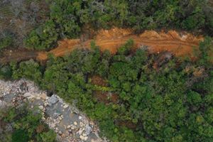 农夫山泉被指毁林取水 这位跨界隐形富豪浮出水面