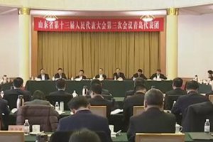 宋远方参加青岛代表团审议省政府工作报告