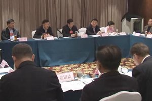 杨军参加省政协委员分组讨论