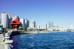 青岛：顺势而为乘势而上聚势而强
