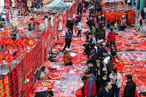 过春节，逛大集，红红火火过大年