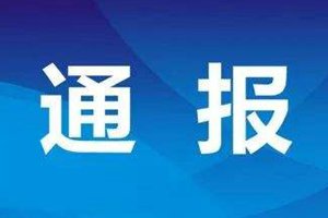 国家卫健委：截至21日24时国内累计报告确诊病例440例 重症102例