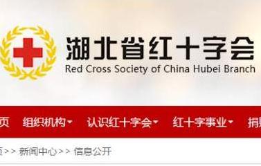 湖北红十字会回应捐赠物资分配问题：对直接责任人追责