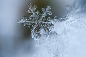 雨夹雪！-7℃！青岛天气要变脸！立春了，防疫时期这些得注意