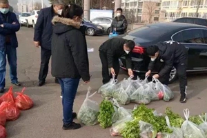 周到！蔬菜便民直通车开进咱社区