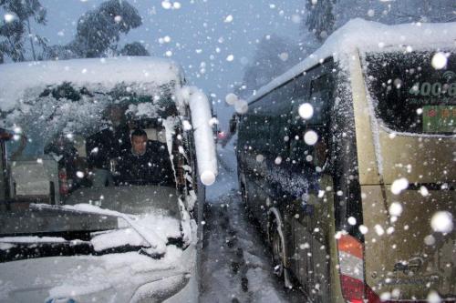 暴雪、寒潮、降温、大雾！青岛市气象台重要天气预报