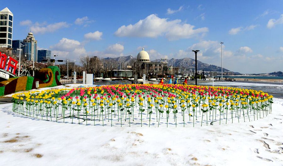 【隔屏看青岛】雪停间隙 蓝天白云雪地令人赏心悦目