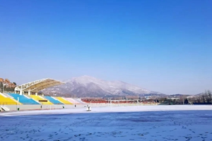 名家散文与青岛十九中雪景的美丽邂逅