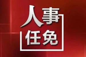 山东省人民政府关于任命吴磊职务的通知